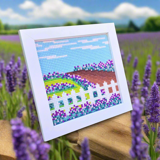 Lavender Farm
