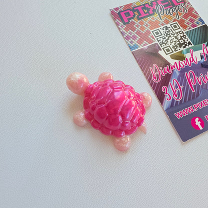 Handmade Resin Turtle Cover Minders